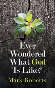 Ever Wondered What God Is Like?