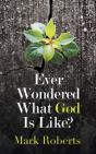 Ever Wondered What God Is Like? - Preview