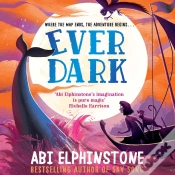Capa do artigo Everdark