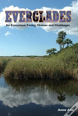 Capa do artigo Everglades