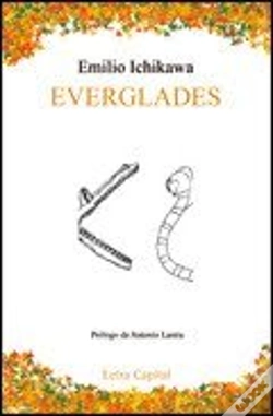 Capa do artigo Everglades