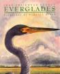 Everglades - Preview