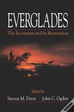 Capa do artigo Everglades