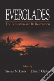 Capa do artigo Everglades
