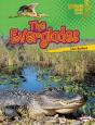 Everglades - Preview