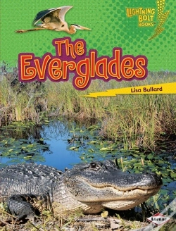 Capa do artigo Everglades
