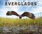 Everglades - Preview