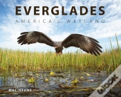Capa do artigo Everglades