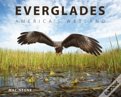 Capa do artigo Everglades