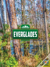 Capa do artigo Everglades