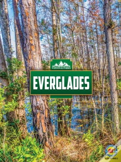 Capa do artigo Everglades