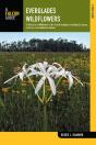 Everglades Wildflowers - Preview