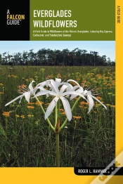 Capa do artigo Everglades Wildflowers