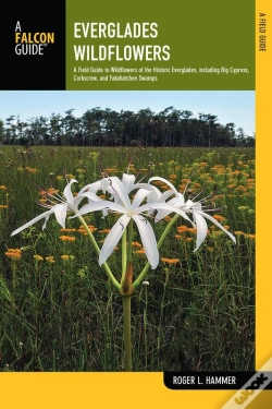 Capa do artigo Everglades Wildflowers