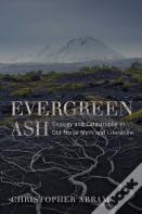 Evergreen Ash