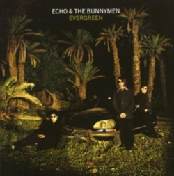 Capa do artigo Evergreen - CD
