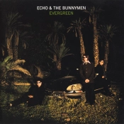 Capa do artigo Evergreen - CD