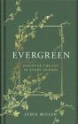 Evergreen - Preview