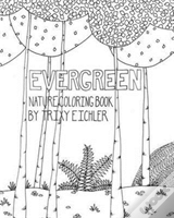 Evergreen
