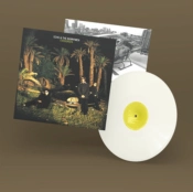 Capa do artigo Evergreen - Vinil