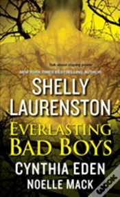 Capa do artigo Everlasting Bad Boys