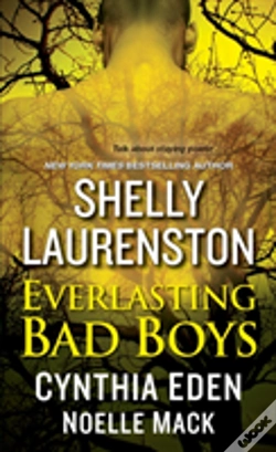 Capa do artigo Everlasting Bad Boys