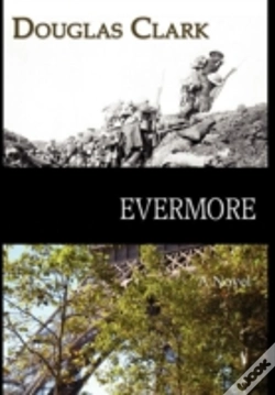 Capa do artigo Evermore