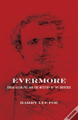 Capa do artigo Evermore