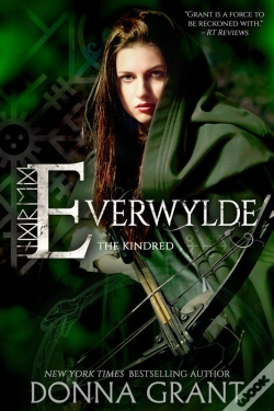 Capa do artigo Everwylde