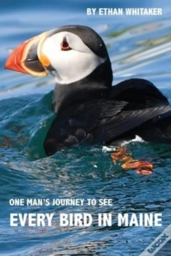 Capa do artigo Every Bird In Maine