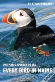 Capa do artigo Every Bird In Maine