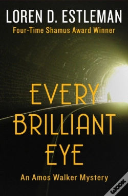 Capa do artigo Every Brilliant Eye