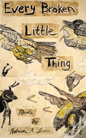 Capa do artigo Every Broken Little Thing