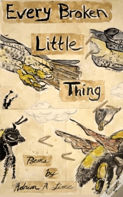 Capa do artigo Every Broken Little Thing