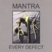 Capa do artigo Every Defect - CD