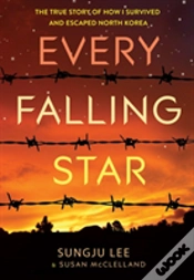 Capa do artigo Every Falling Star