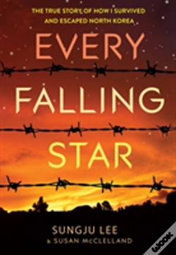 Capa do artigo Every Falling Star