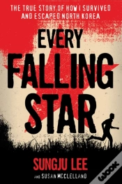 Capa do artigo Every Falling Star