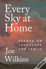 Capa do artigo Every Sky At Home