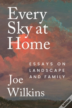 Capa do artigo Every Sky At Home