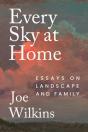 Every Sky At Home - Preview