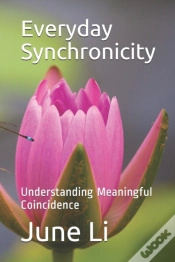 Capa do artigo Every Synchronicity: Understanding Meani