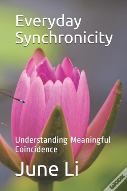 Capa do artigo Every Synchronicity: Understanding Meani