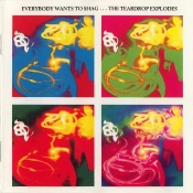 Capa do artigo Everybody Wants To Shag...The Teardrop Explodes - CD