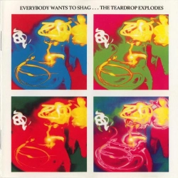 Capa do artigo Everybody Wants To Shag...The Teardrop Explodes - CD