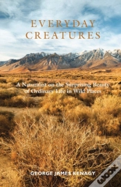 Capa do artigo Everyday Creatures