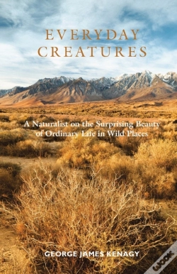 Capa do artigo Everyday Creatures