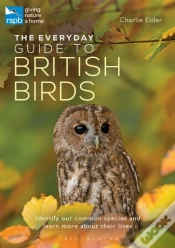 Capa do artigo Everyday Guide To British Birds