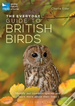 Capa do artigo Everyday Guide To British Birds