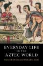 Everyday Life In The Aztec World - Preview